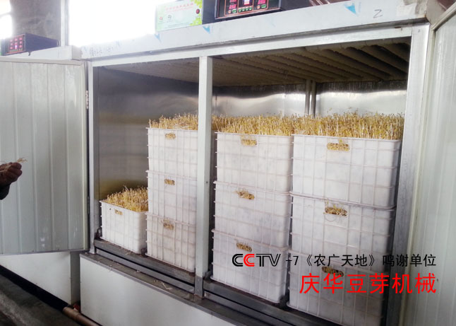 循環(huán)水豆芽機 循環(huán)水豆芽機